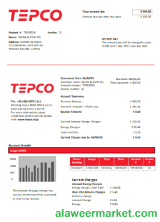Tokyo Electric Power Company (TEPCO) electricity utility business bill,  SCR